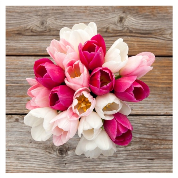 Meet your Posher, Holly - Picture 1 of 1